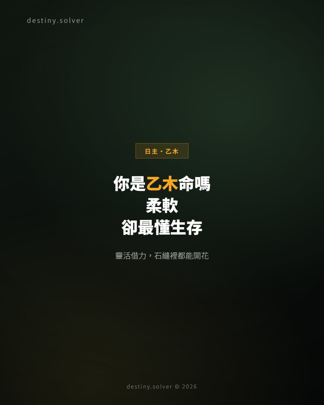 你是乙木命嗎？柔軟，卻最懂得生存的藤蔓