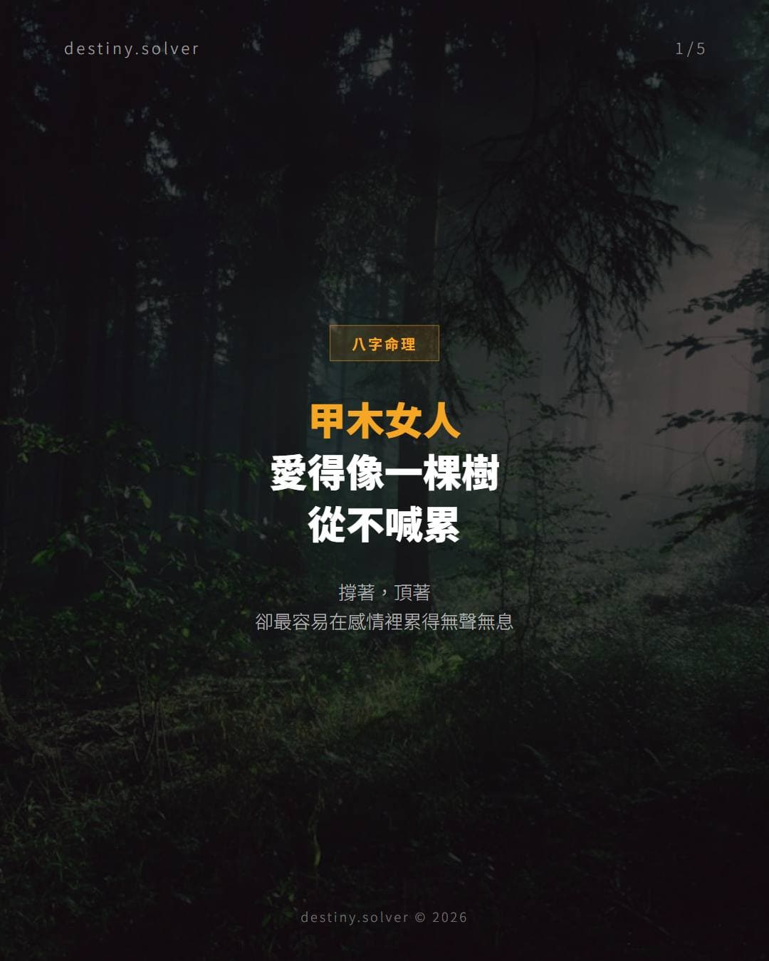 命裡是甲木的女人，愛起來頂天立地，卻最容易在感情裡累得無聲無息