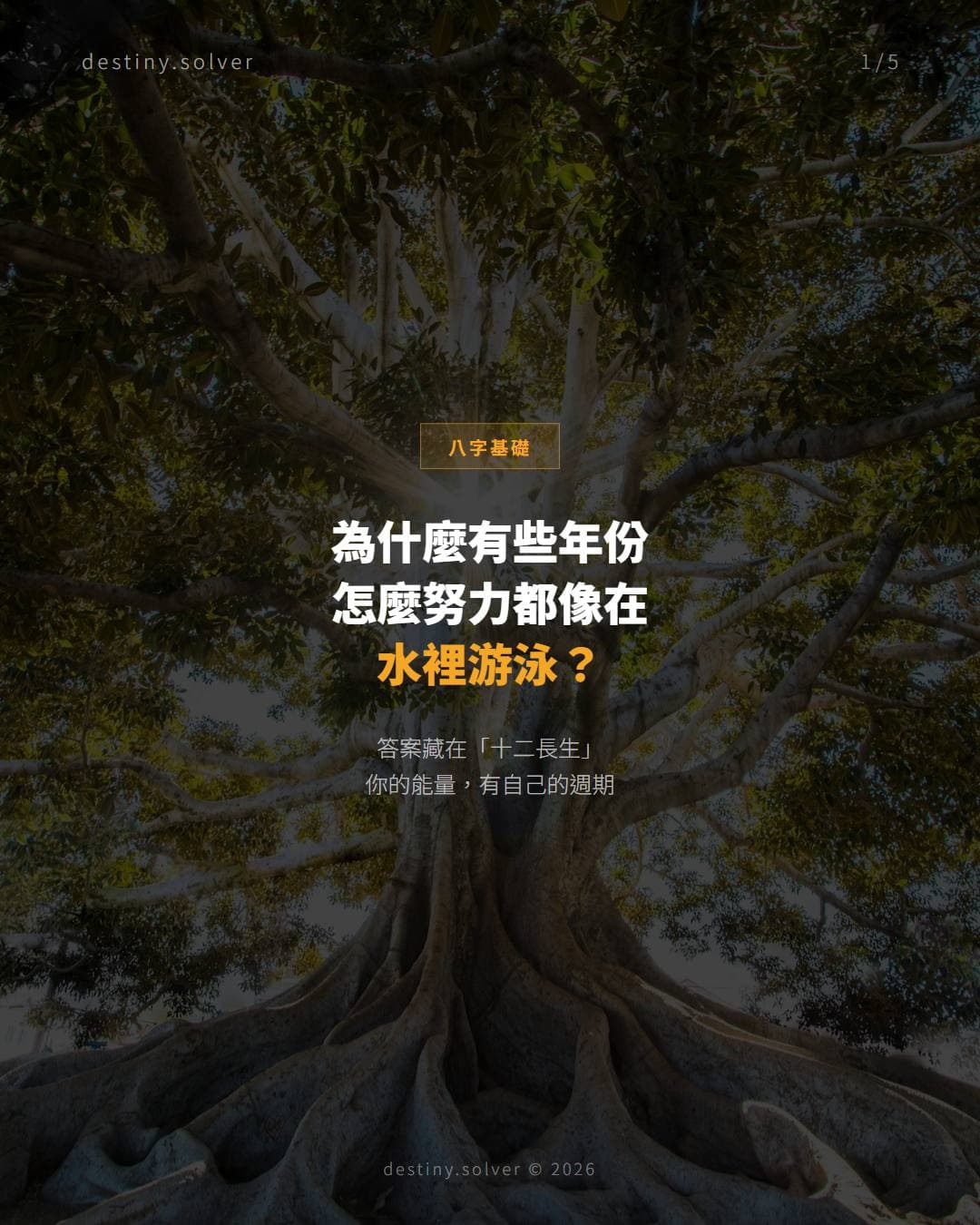 為什麼同一個人，有些年份精力充沛，有些年份怎麼努力都像在水裡游泳：十二長生說的秘密
