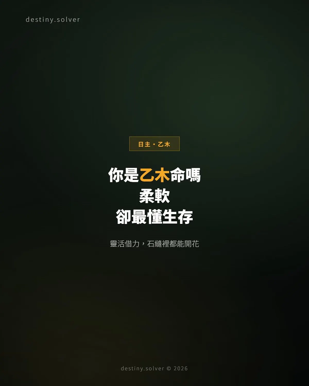 乙木命是什麼性格?柔軟卻最懂生存的藤蔓