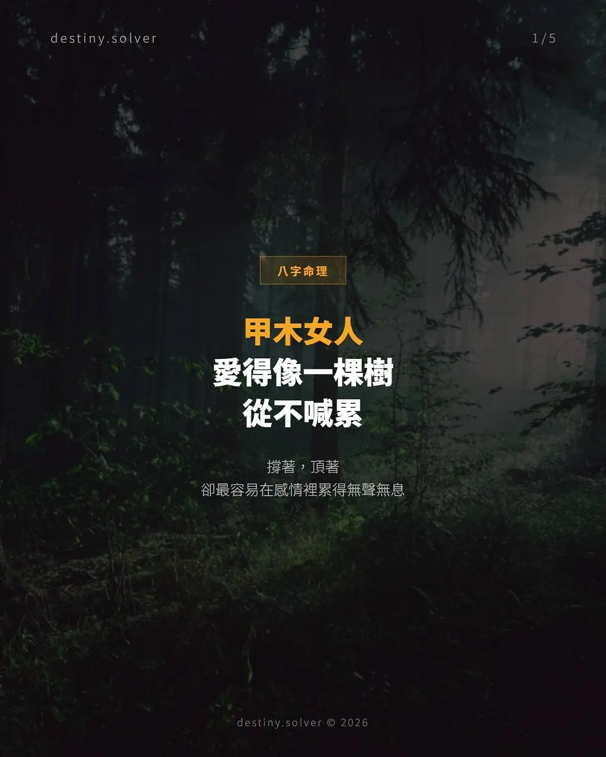 甲木女命的感情:頂天立地卻最容易默默累垮